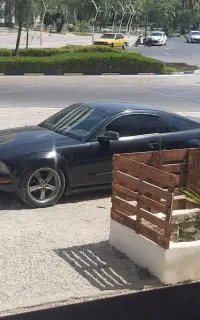 Mustang 2008