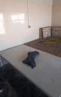 تخت رستورانی