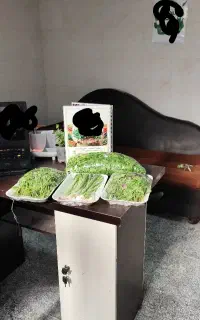 وسایل کارگاه سبزیجات