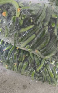 خیار شور