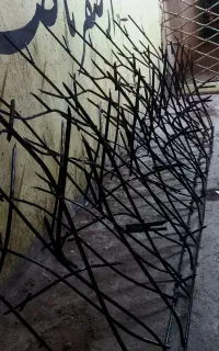 حفاظ روی دیوارشاخ گوزنی سه شاخ سقف سبک زیر پله فنس