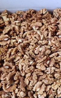 مغز گردو