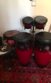 تومبا و بینگو بنگو به