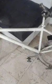 تنه خالی شماره ۲۶