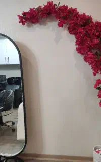 اجاره لاین زیبایی