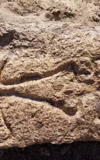 فروش سنگ زینتی