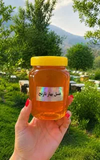 فروش عسل اصل ارگانیک شمال