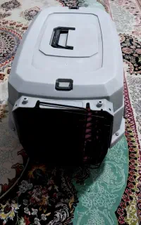 باکس  سگ