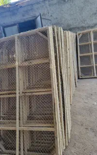 طبق انگور وچهارچوب