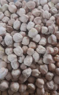 نخودمحلی عالی وخوشپخت