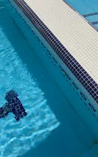 آموزش تخصصی شنا ویژه بانوان
