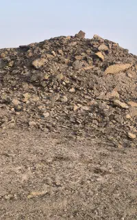 کود گوسفندی