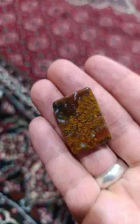 سنگ شجر پایزه معدنی معدنی معاوزه دارم