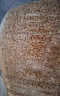 ۵کیلو گندم و۵ کیلو برنج هاشمی قیمت پایین