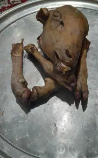 تمیز کردن کله و پاچه گوسفندی