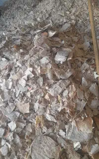 نان خشک دامی