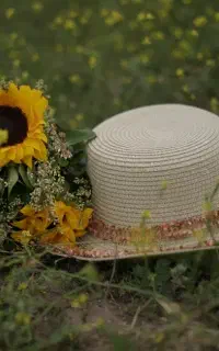 آتلیه ، عکاسی و فیلمبرداری، فرمالیته و عروسی