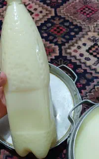 روغن گوسفند