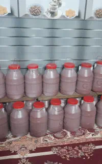 رب گوجه خراسان