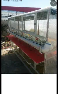 قفس چند منظوره بزرگ