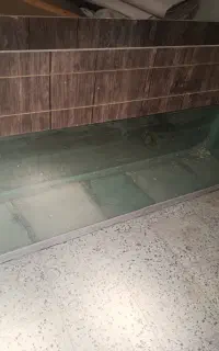 آکواریوم سالم