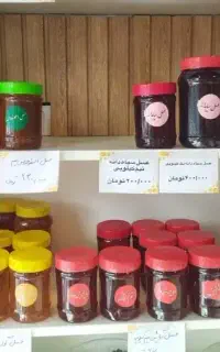 فروش تخصصی عسل و ژل رویال / با ضمانت آزمایش