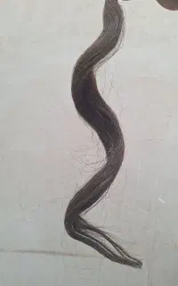 دم اسب