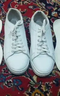 کفش ونس