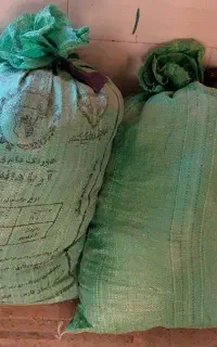 پشم بره شسته و تمیز