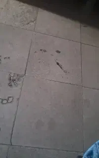 موزائیک کار متراژ بالا نیازمندیم