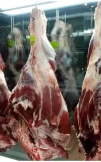 قصابی سیار برای عید