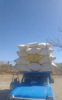 کاه درجه یک تمیز نورآباد
