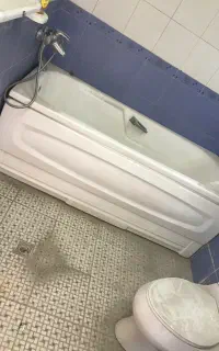 وان حمام جنس اعلا