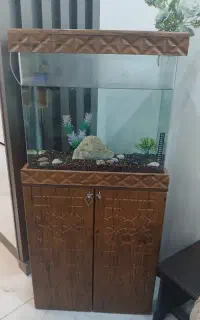 اکواریوم چوبی