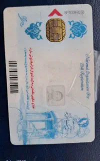 پیدا شده