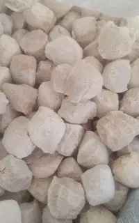 کشک سرحدی