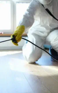 سم پاشی حشرات موذی