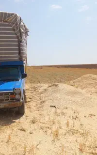 خرید فروش کاه