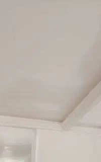 نیازمند استاد گچکار