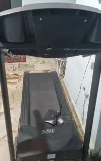 تردمیل ۳۰۱ راین