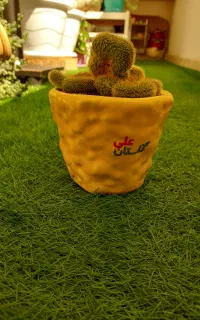 گل طبیعی ، کاکتوس