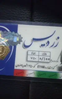 سکه طلا