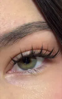 مژه هیدن با قیمت مناسب