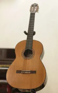 گیتار prodencio saez G9