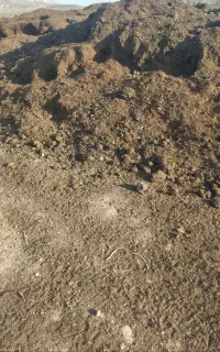 فروش کود حیوانی کهنه