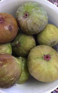 انجیر ولبنیات ارگانیک و برنج هاشمی درجه ۱ وسورتینگ