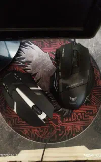 دو عدد موس
