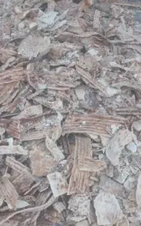 نان خشک