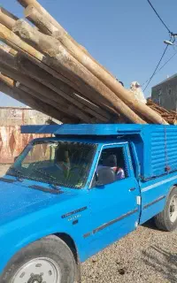 خریدار چوبب