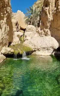 یک عدد ساعت مچی